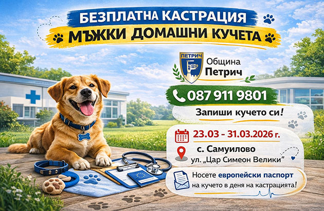 Безплатна кастрация на мъжки домашни кучета в община Петрич